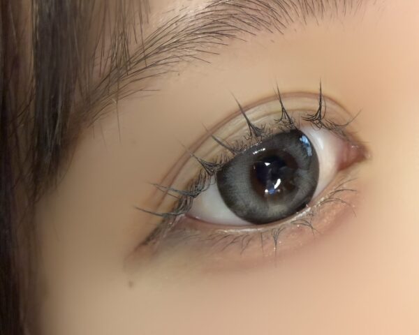 Siren Fog Gray