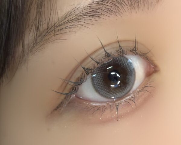 Modish Gray