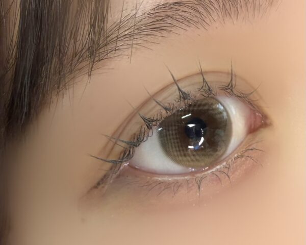 Modish Brown