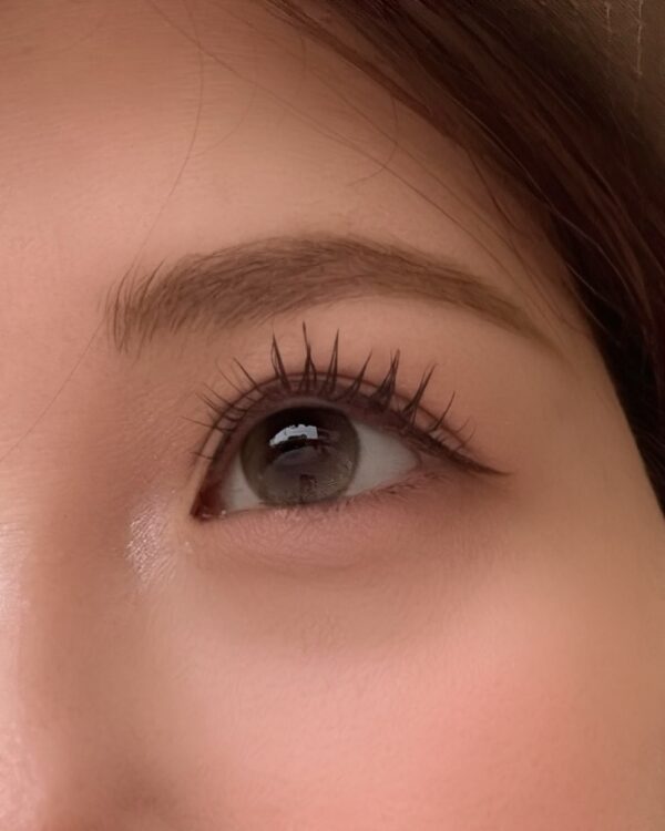 OLOLA1DAY Modish Brown